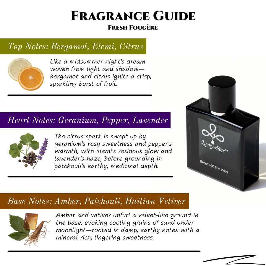 男性用50mlロングラスティングコロン、フレッシュフジェール - Home Fragrance Business のレビューと価格