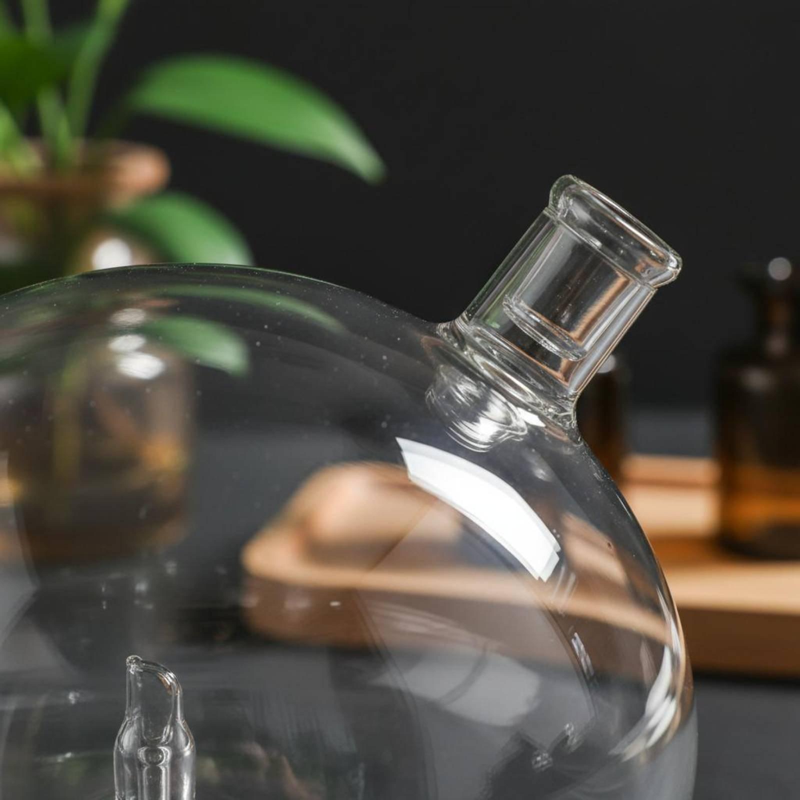ディフューザーボトル ユニバーサルフィット ガラス交換用 ウ - Home Fragrance Diffusers のレビューと価格